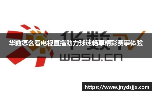 华数怎么看电视直播助力球迷畅享精彩赛事体验