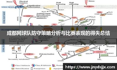竞技宝官网